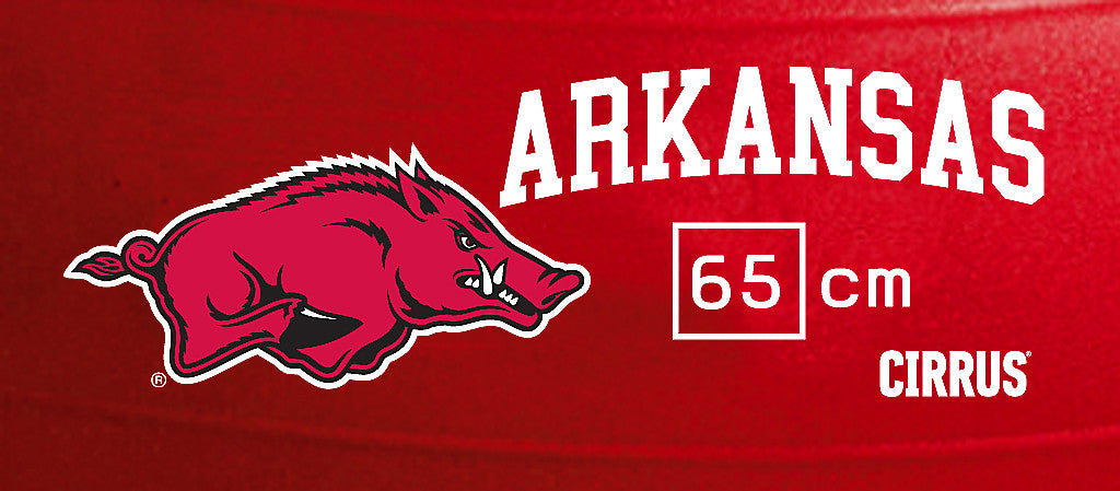 Arkansas Razorbacks <br />Physio / Stability Ball
