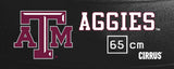 Texas A&M Aggies <br />Physio / Stability Ball