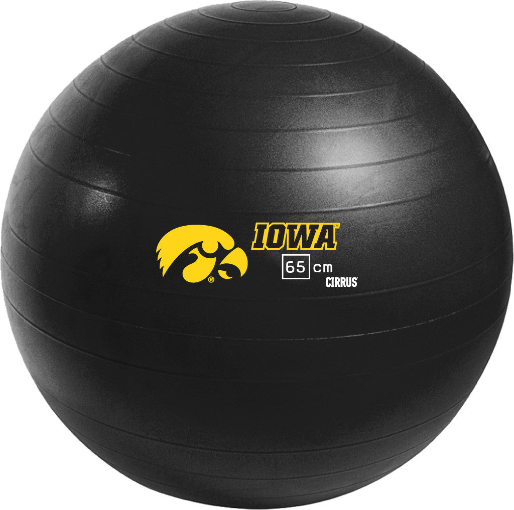 Iowa Hawkeyes <br />Physio / Stability Ball