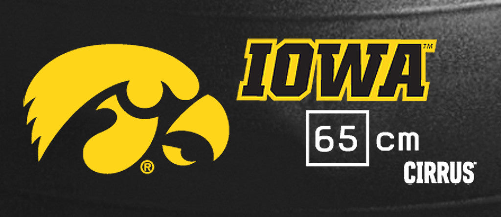 Iowa Hawkeyes <br />Physio / Stability Ball