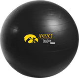 Iowa Hawkeyes <br />Physio / Stability Ball