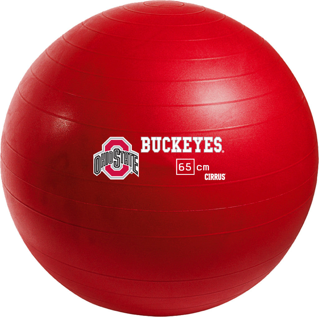 Ohio State Buckeyes <br />Physio / Stability Ball