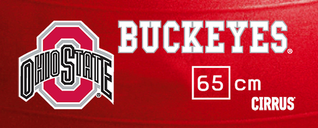 Ohio State Buckeyes <br />Physio / Stability Ball