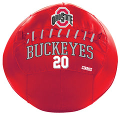 Ohio State Buckeyes <br />Medicine Ball