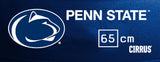Penn State Nittany Lions <br />Physio / Stability Ball