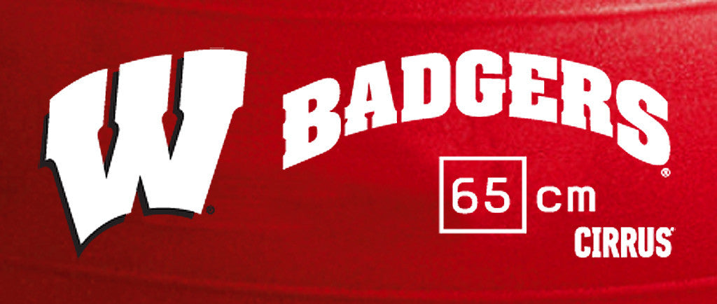 Wisconsin Badgers <br />Physio / Stability Ball