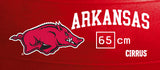 Arkansas Razorbacks <br />Physio / Stability Ball