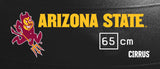 Arizona State Sun Devils <br />Physio / Stability Ball
