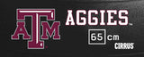 Texas A&M Aggies <br />Physio / Stability Ball