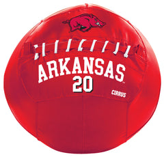 Arkansas Razorbacks <br />Medicine Ball