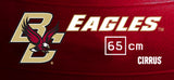 Boston College Eagles <br />Physio / Stability Ball