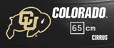 Colorado Buffaloes <br />Physio / Stability Ball