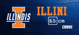 Illinois Fighting Illini <br />Physio / Stability Ball