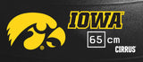 Iowa Hawkeyes <br />Physio / Stability Ball