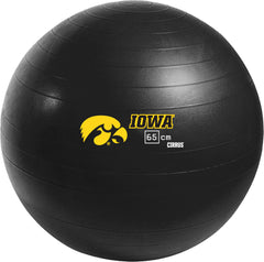 Iowa Hawkeyes <br />Physio / Stability Ball