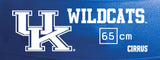 Kentucky Wildcats <br />Physio / Stability Ball