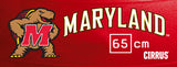 Maryland Terrapins <br />Physio / Stability Ball