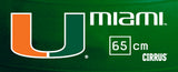 Miami Hurricanes <br />Physio / Stability Ball