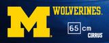 Michigan Wolverines <br />Physio / Stability Ball
