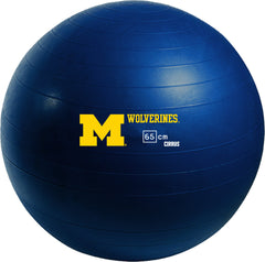 Michigan Wolverines <br />Physio / Stability Ball