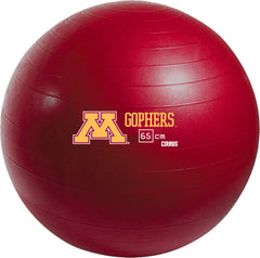 Minnesota Golden Gophers <br />Physio / Stability Ball