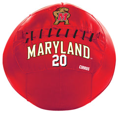 Maryland Terrapins <br />Medicine Ball