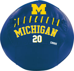Michigan Wolverines <br />Medicine Ball