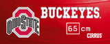 Ohio State Buckeyes <br />Physio / Stability Ball