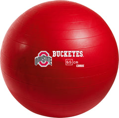 Ohio State Buckeyes <br />Physio / Stability Ball