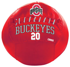 Ohio State Buckeyes <br />Medicine Ball