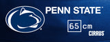Penn State Nittany Lions <br />Physio / Stability Ball