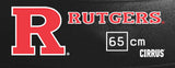Rutgers Scarlet Knights <br />Physio / Stability Ball