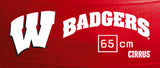 Wisconsin Badgers <br />Physio / Stability Ball