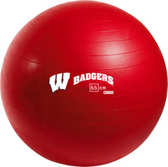 Wisconsin Badgers <br />Physio / Stability Ball