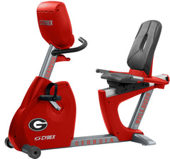 Georgia Bulldogs <br />Recumbent Bike