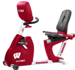 Wisconsin Badgers <br />Recumbent Bike